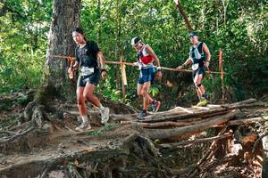 BIB: 
                            <button type="button" onclick="openModal(27552519)" class="btn btn-primary btn-sm float-right btn-popup" data-toggle="modal" data-target=".modal-high-quality">
                        <i class="fas fa-shopping-cart"></i> Add to Cart
                    </button>
                                            <button type="button" onclick="isThisMe(27552519, true)" class="btn btn-success btn-sm float-right btn-popup btn-isme hidden" data-toggle="tooltip" data-placement="bottom" title="นี่คือรูปของคุณใช่ไหม คลิกที่นี่เพื่อเอาเข้าอัลบั้ม">
                        <i class="fas fa-plus"></i> Add to album
                    </button>
                    <button type="button" onclick="isThisMe(27552519, false)" class="btn btn-warning btn-sm float-right btn-popup btn-isnotme hidden">
                        <i class="fas fa-ban"></i> Remove from album
                    </button>